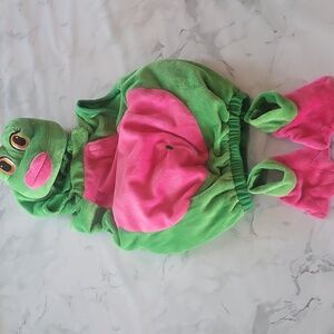 Princess Paradise Felicia the Frog Costume rare
